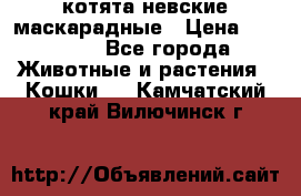 котята невские маскарадные › Цена ­ 18 000 - Все города Животные и растения » Кошки   . Камчатский край,Вилючинск г.